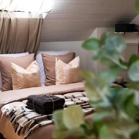 Comfort And Video Projector Close To Downtown *